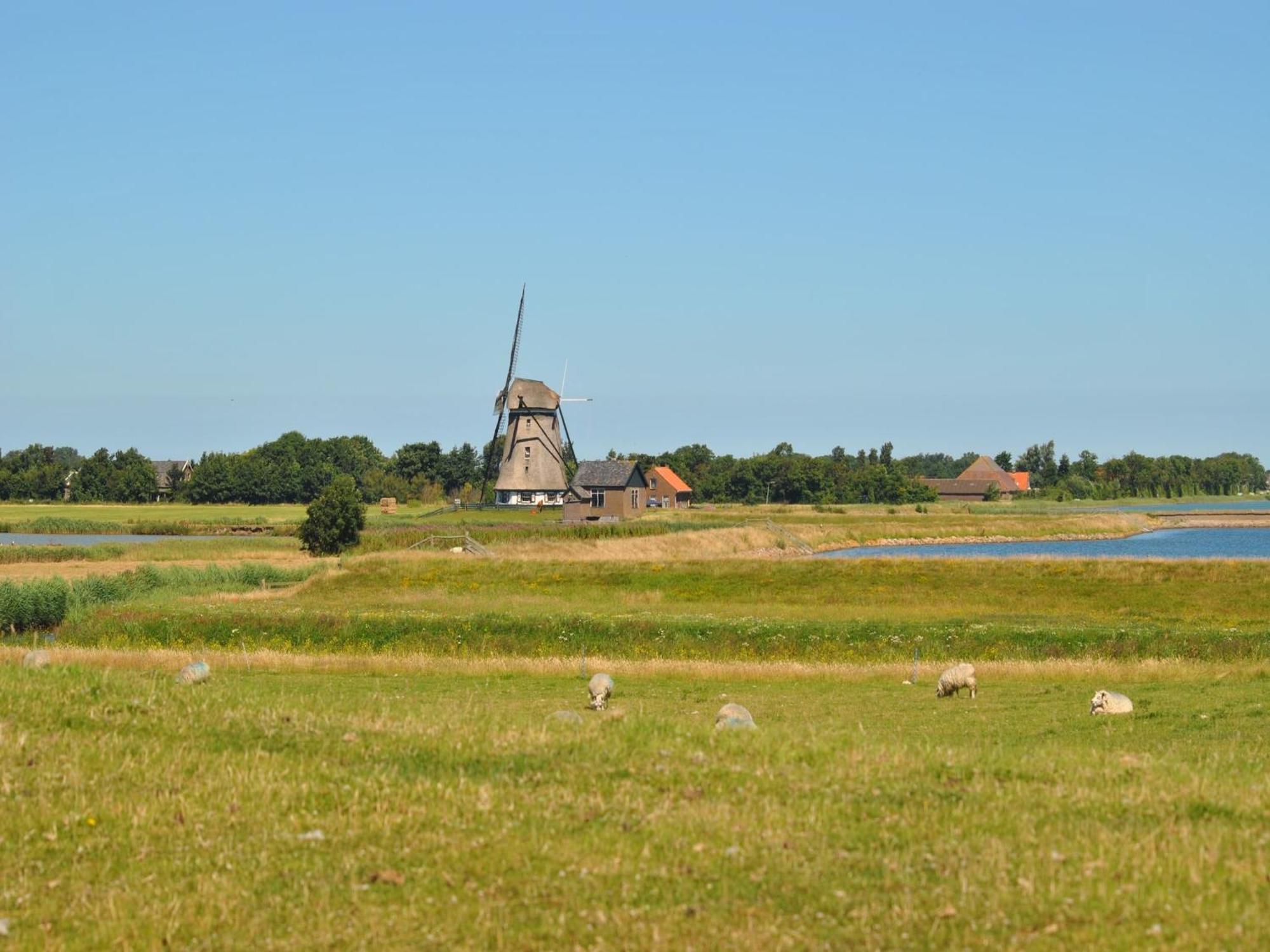 Lovely Holiday Home In Texel Near Sea Oost  Екстер'єр фото