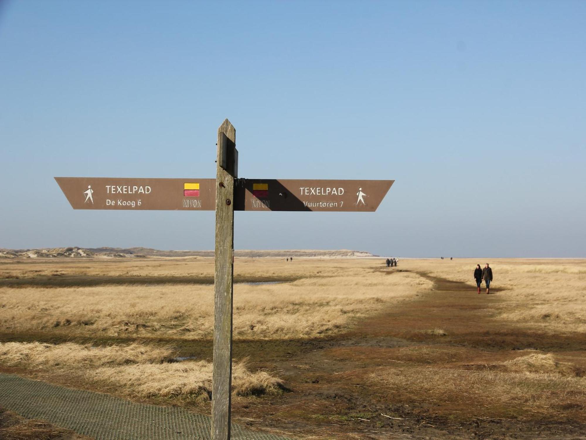 Lovely Holiday Home In Texel Near Sea Oost  Екстер'єр фото