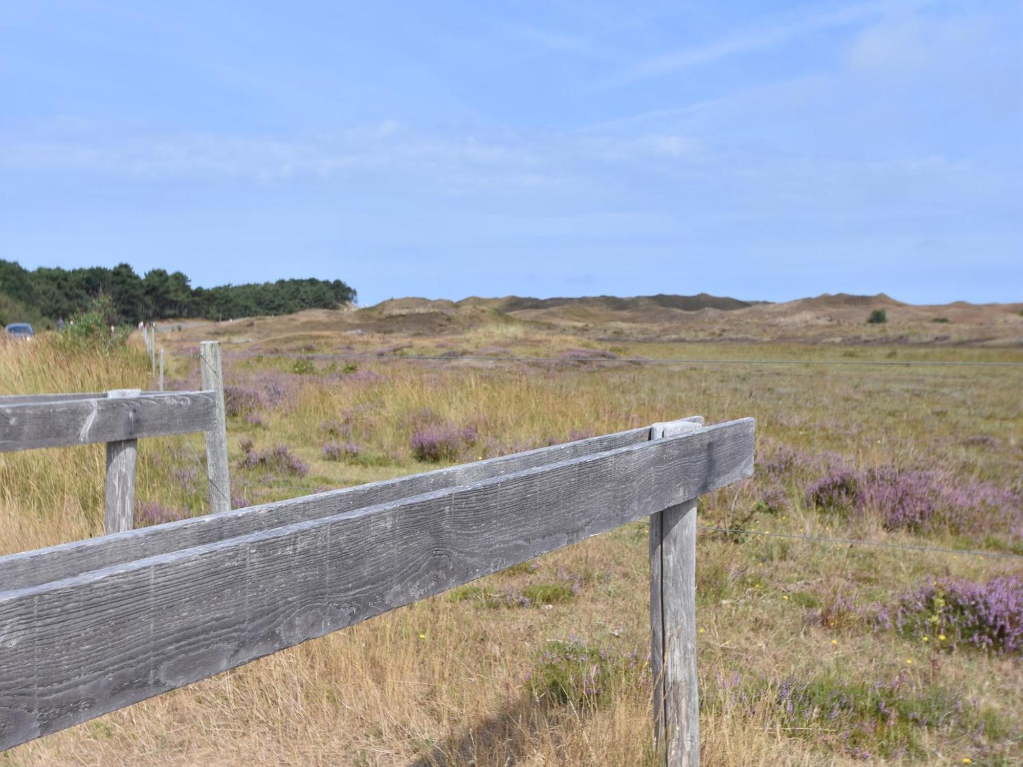 Lovely Holiday Home In Texel Near Sea Oost  Екстер'єр фото