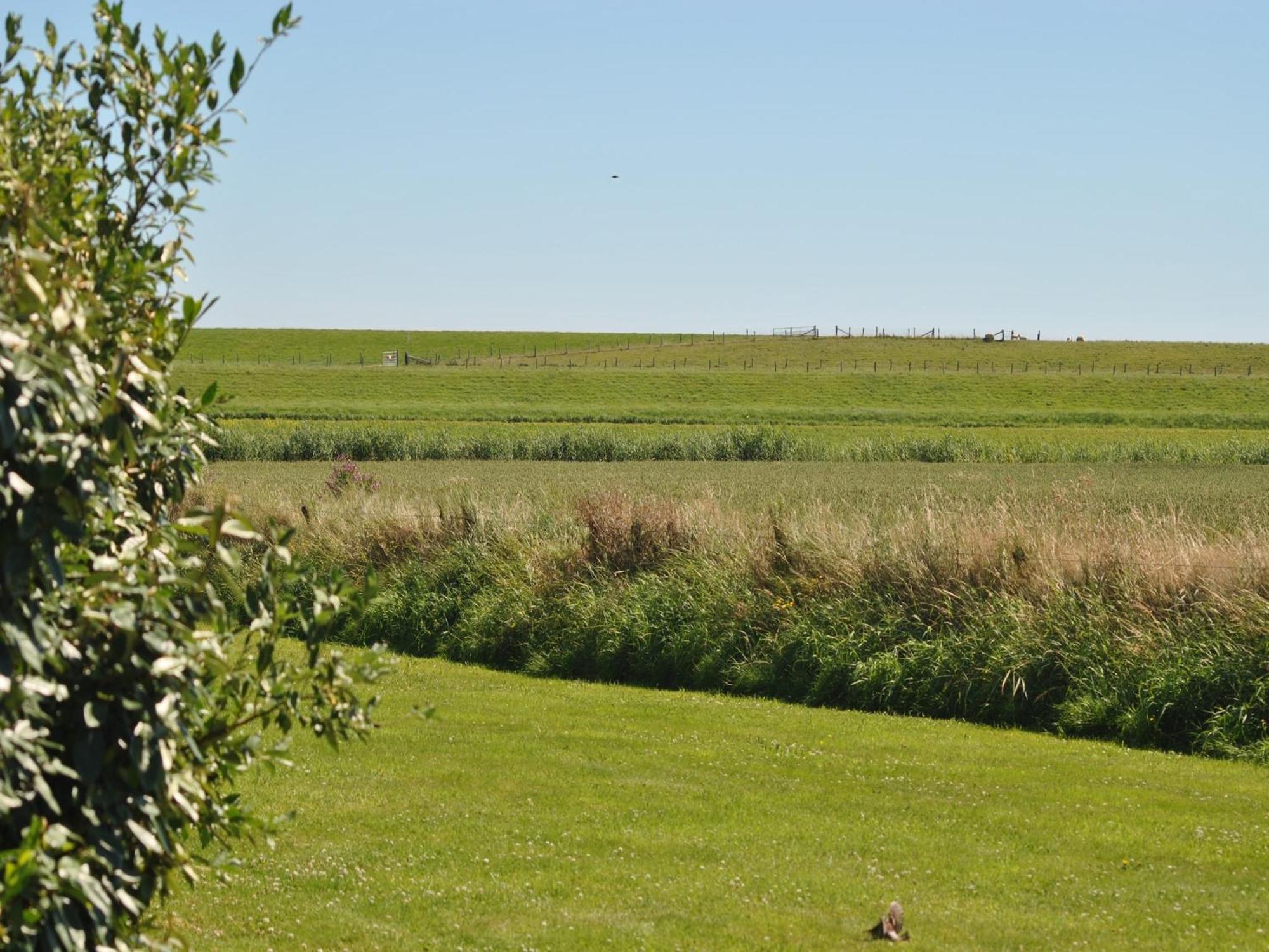 Lovely Holiday Home In Texel Near Sea Oost  Екстер'єр фото